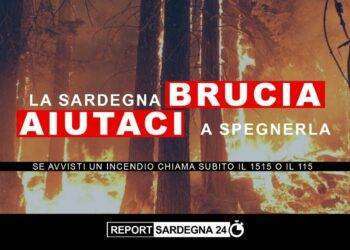 Antincendio, Report Sardegna 24 lancia Campagna di Sensibilizzazione Regionale