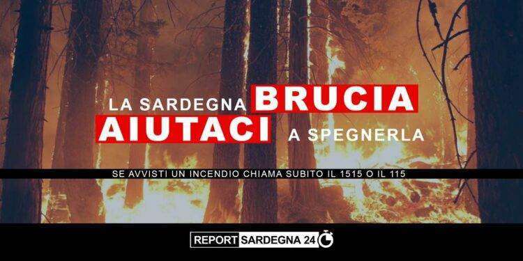 Antincendio, Report Sardegna 24 lancia Campagna di Sensibilizzazione Regionale