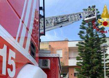 Albero pericolante a Scano di Montiferro, arrivano i Vigili del fuoco