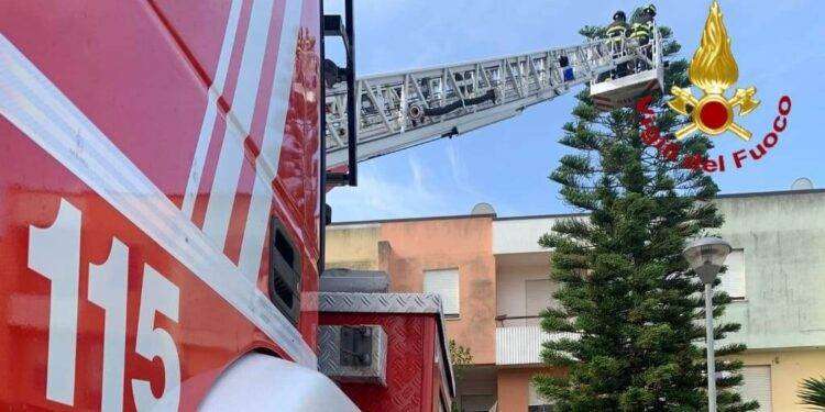 Albero pericolante a Scano di Montiferro, arrivano i Vigili del fuoco