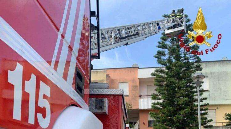 Albero pericolante a Scano di Montiferro, arrivano i Vigili del fuoco