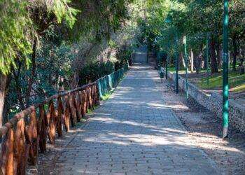 Cagliari, cerimonia d’avvio del progetto “AdottiAMO le radici della nostra città”