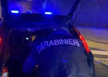 Operazione dei Ros contro la ‘ndrangheta, 43 arresti in tutta Italia