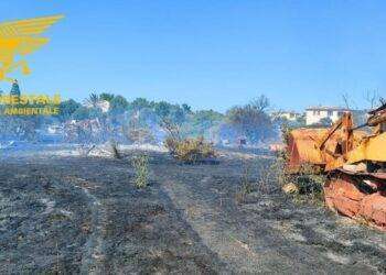 Paura a San Teodoro, vasto incendio vicino alle abitazioni:  evacuate 15 case
