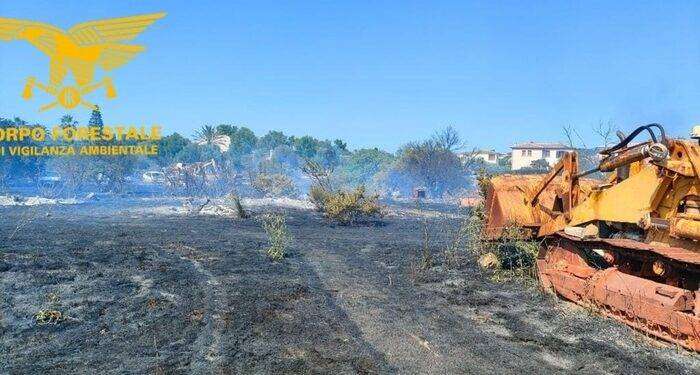 Paura a San Teodoro, vasto incendio vicino alle abitazioni:  evacuate 15 case