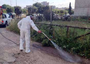 Cagliari, lunedì 26 giugno disinfestazione in via Corridoni