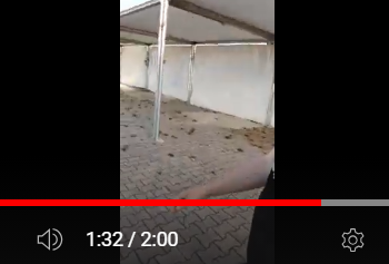 Fiera Campionaria, spazio abbandonato e degradato: ecco dove si svolgono i concerti a Cagliari