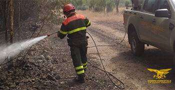 14 incendi in Sardegna, in azione anche gli elicotteri