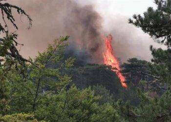 Fiamme in Sardegna, 8 incendi in tutta la regione