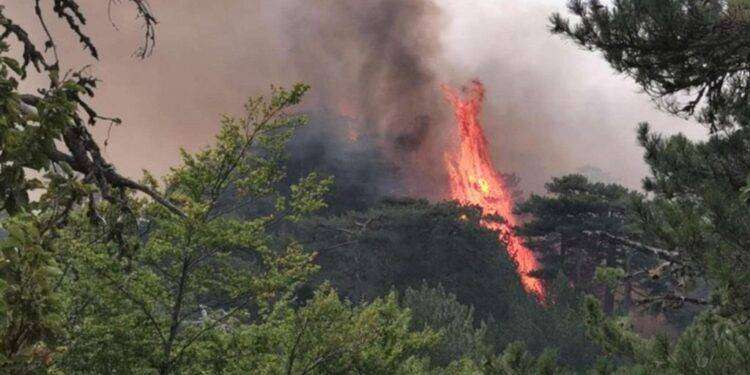 Fiamme in Sardegna, 8 incendi in tutta la regione