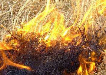 Cagliari, bollettino di previsione pericolo incendio “medio” per sabato 24 giugno 2023