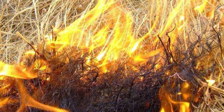 Cagliari, bollettino di previsione pericolo incendio “medio” per sabato 24 giugno 2023