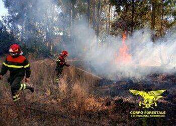 Allerta incendi, vasto rogo a San Gavino con statale 197 chiusa