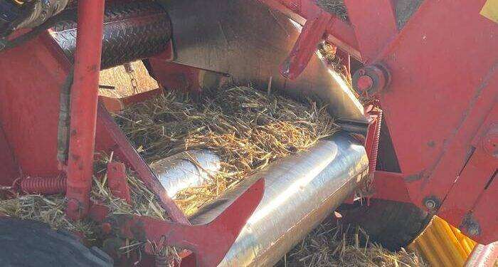 Finisce dentro una mietitrebbia, 43enne muore a Carbonia