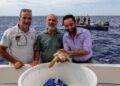 Parco dell’Asinara, liberata una tartaruga. Assessore Porcu: “Prosegue l’attività di protezione e salvaguardia delle Caretta caretta”