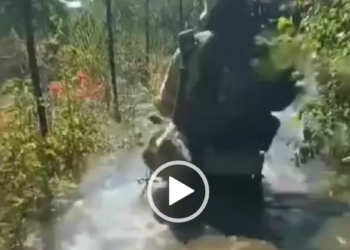 Diga Kakhovka, case sommerse e persone sugli alberi: migliaia di cittadini salvati dai russi