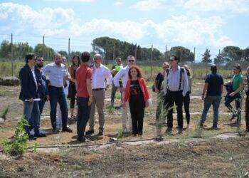 A Sestu nasce un nuovo polmone verde