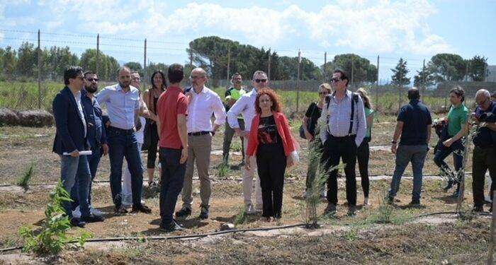 A Sestu nasce un nuovo polmone verde