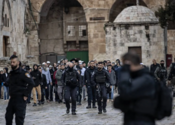 A maggio, 490 attacchi delle forze militari e dei civili sionisti contro i nativi palestinesi