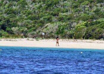 Spiaggia rosa violata a Budelli, sanzionati sei turisti
