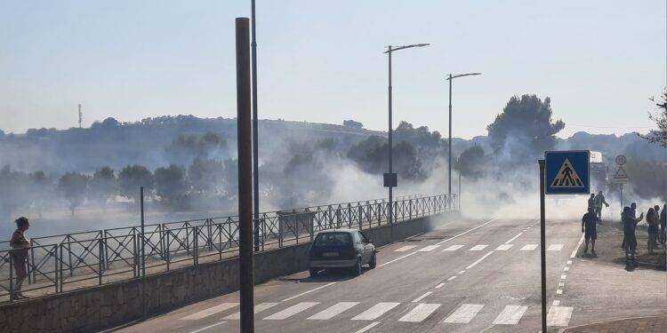 Paura a Sestu, la Sindaca: “Due grossi incendi in città”