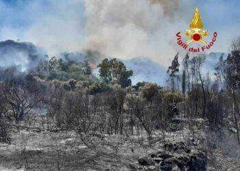 Vasto incendio in Ogliastra, in azione 2 elicotteri e un canadair