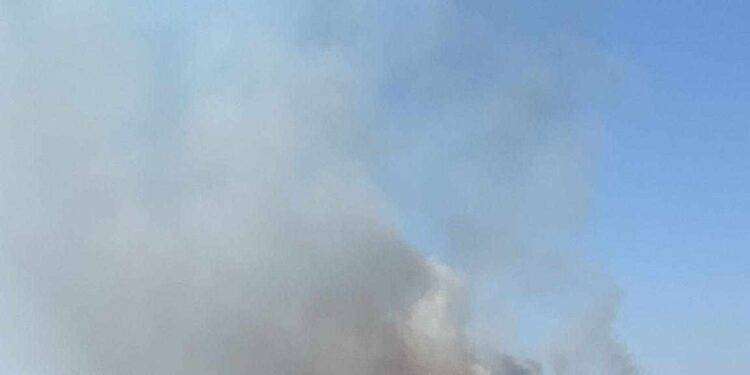 Salento: vastissimo incendio sulla litoranea tra Galatone a Sannicola