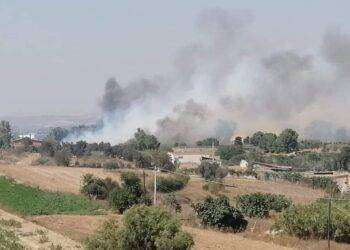 Paura a Sestu, la Sindaca: “Due grossi incendi in città”