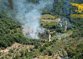 13 incendi in Sardegna nella ultime 24 ore: le fiamme favorite dal vento e dalle temperature alte