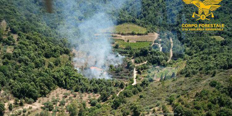 13 incendi in Sardegna nella ultime 24 ore: le fiamme favorite dal vento e dalle temperature alte