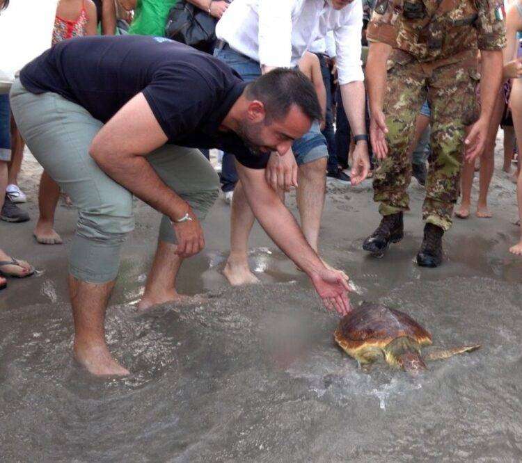 Ambiente, liberata al Poetto una caretta caretta