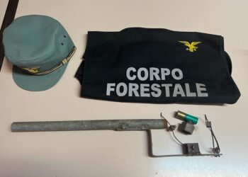 Attentato alla stazione forestale di Seui: trovati i colpevoli