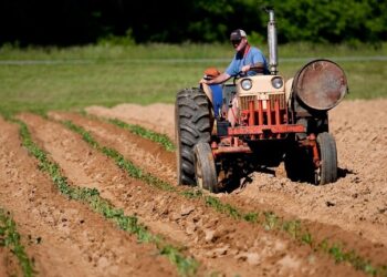 Volano i prezzi del cibo ma i contadini sottopagati del 21%