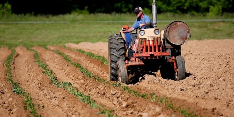 Volano i prezzi del cibo ma i contadini sottopagati del 21%