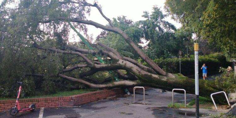 Tragedia al campo scout, 16enne muore travolta da un albero