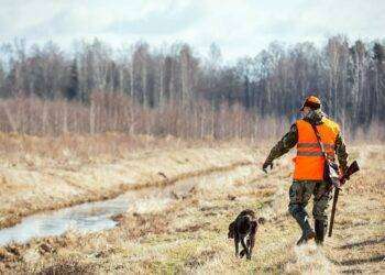 Caccia, assessore Porcu: ‘Dal 15 luglio parte il censimento della pernice sarda coi cani da ferma grazie all’accordo Regione-Enci’