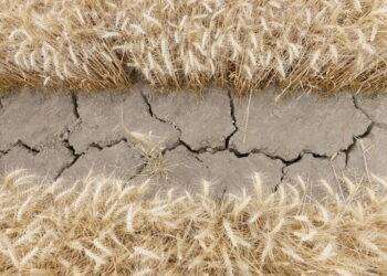 L’Overshoot Day mondiale quest’anno è il 2 agosto