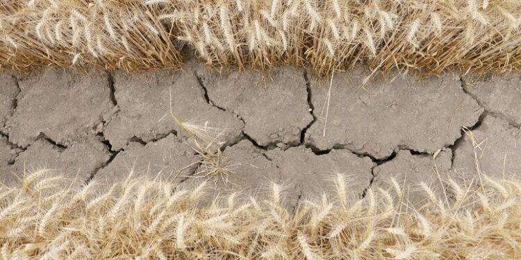 L’Overshoot Day mondiale quest’anno è il 2 agosto