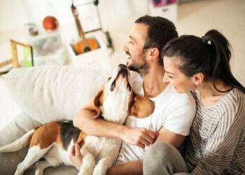 Cani, 8 falsi miti da sfatare dall’alimentazione al comportamento