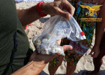 Valledoria (SS) Contrasto al prelievo di sabbia e ciottoli