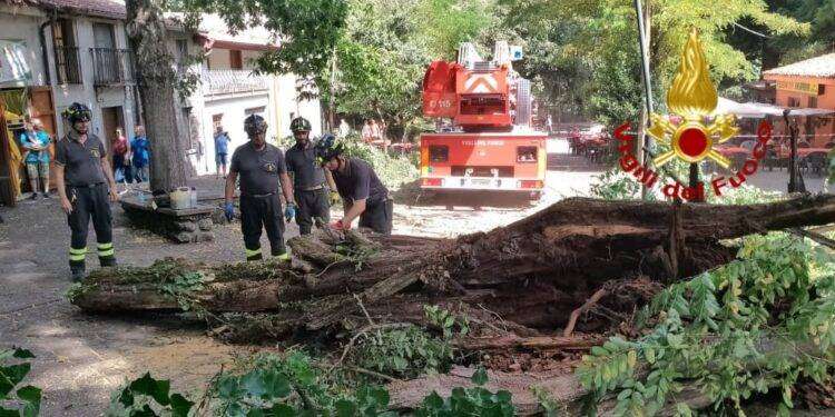 San Leonardo, albero pericolante abbattuto dai Vigili del Fuoco