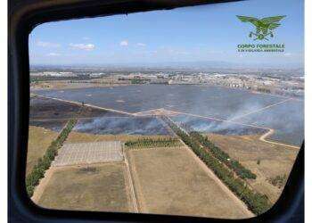 Fiamme in Sardegna, 9 incendi nell’isola