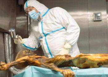 Ötzi, l’uomo dei ghiacci era sardo, con il colestorolo e 61 tatuaggi