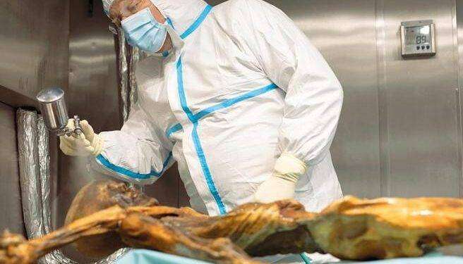 Ötzi, l’uomo dei ghiacci era sardo, con il colestorolo e 61 tatuaggi