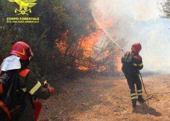 Vasto incendio a Siliqua, in azione anche l’elicottero del Corpo Forestale