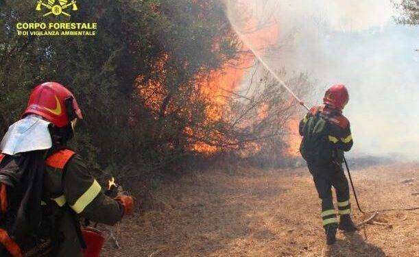 Vasto incendio a Siliqua, in azione anche l’elicottero del Corpo Forestale