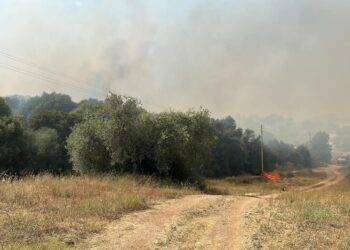 Incendio vicino case in Gallura, evacuate due famiglie