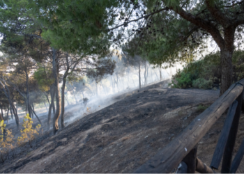 Fiamme al Colle di San Michele, incenerita parte del polmone verde di Cagliari: il giorno dopo