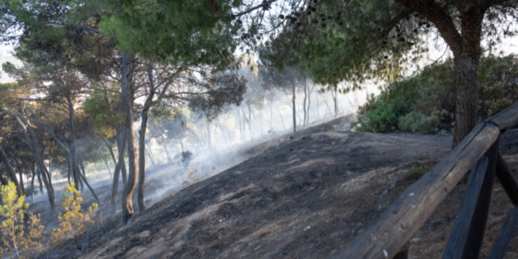 Fiamme al Colle di San Michele, incenerita parte del polmone verde di Cagliari: il giorno dopo
