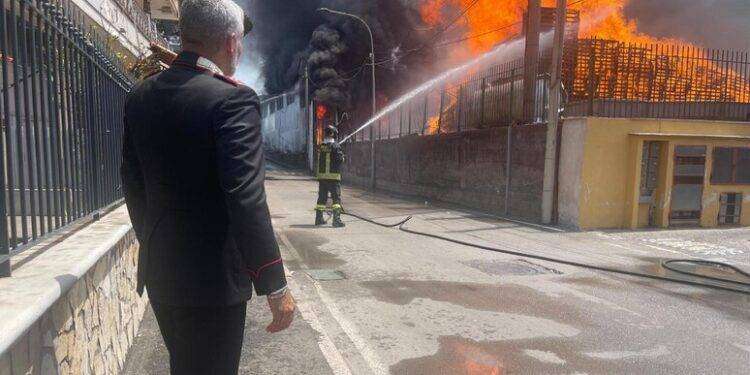 Vasto incendio in stabilimento conserviero